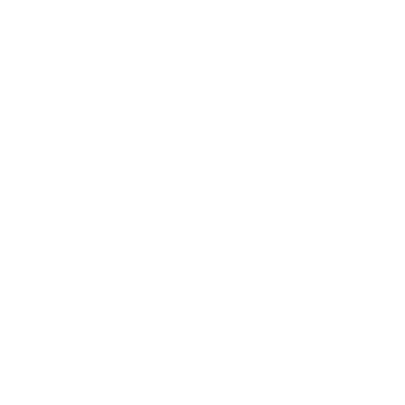 Gemini Predictions