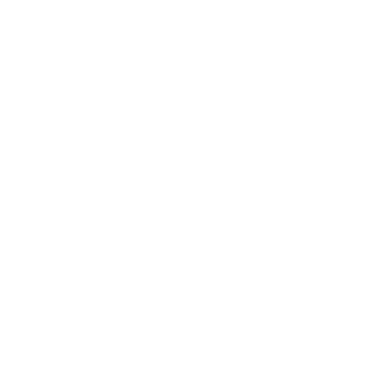 Novig