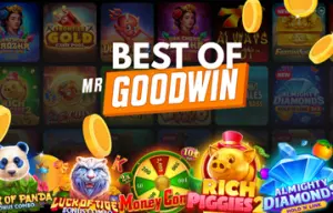 Mr Goodwin Best Games To Play On The Site