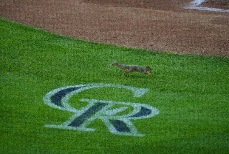New York Mets vs Colorado Rockies Picks and Prediction for Monday May 4 2026